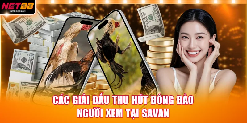 Các giải đấu thu hút đông đảo người xem tại Savan
