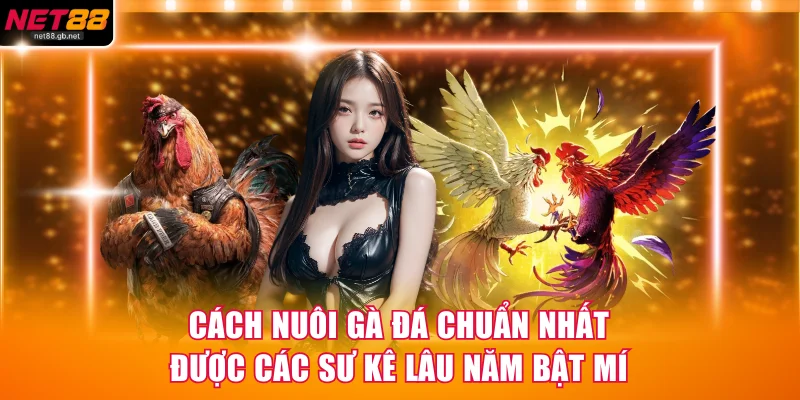 cách nuôi gà đá