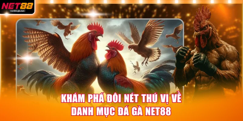 Khám phá đôi nét thú vị về danh mục đá gà NET88
