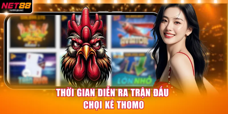 Thời gian diễn ra trận đấu chọi kê Thomo