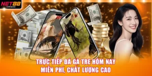 Trực Tiếp Đá Gà Tre